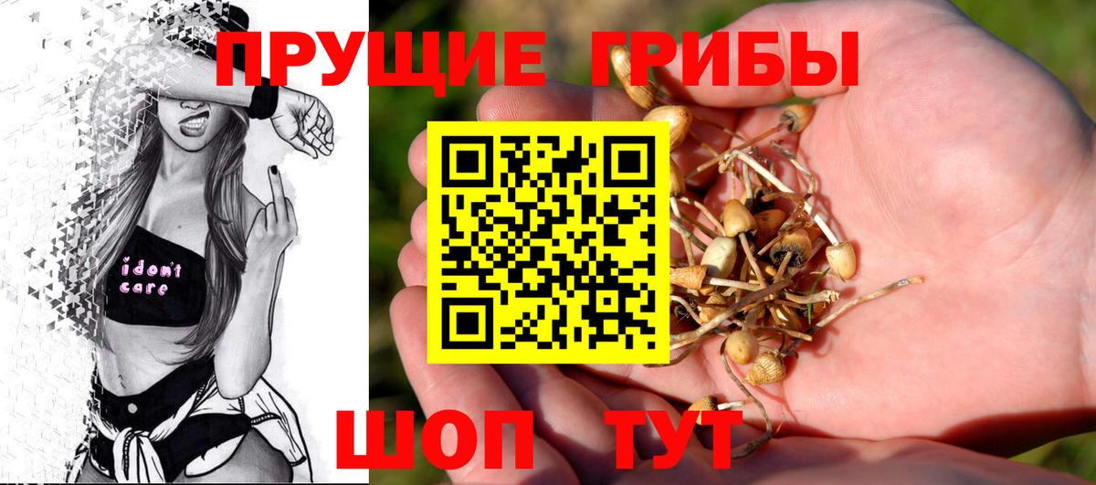 Псилоцибиновые грибы Cubensis Железноводск
