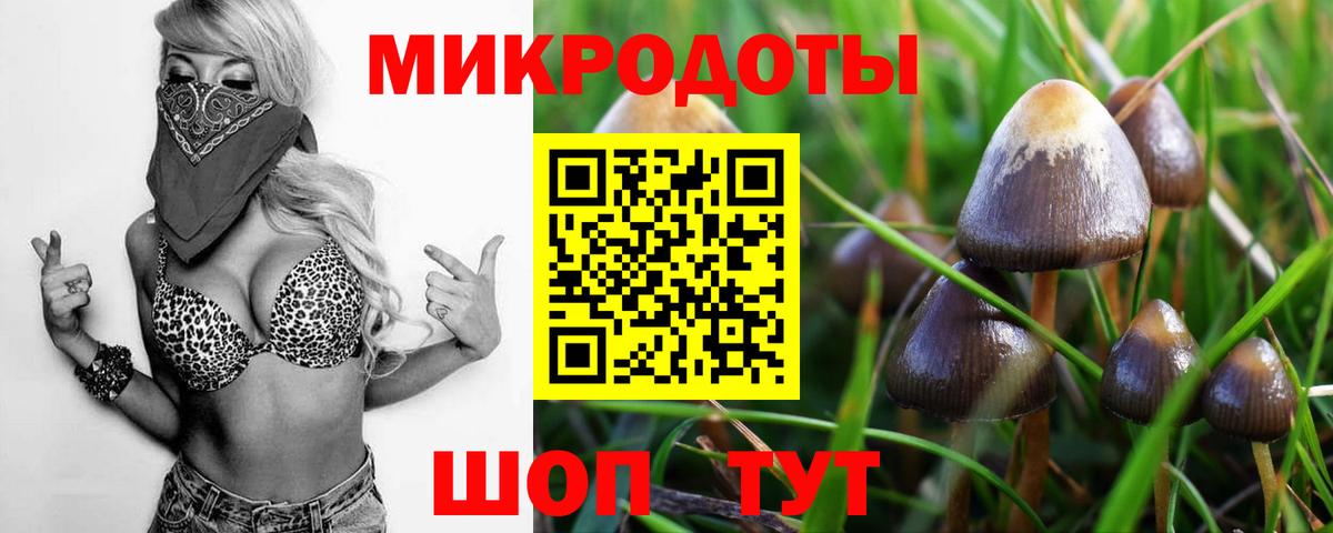 Галлюциногенные грибы MAGIC MUSHROOMS  Вход с VPN  Железноводск 